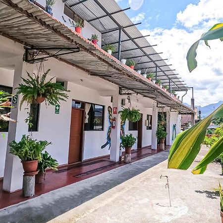 Shoffi'S House Backpackers Hotell Tarapoto Eksteriør bilde