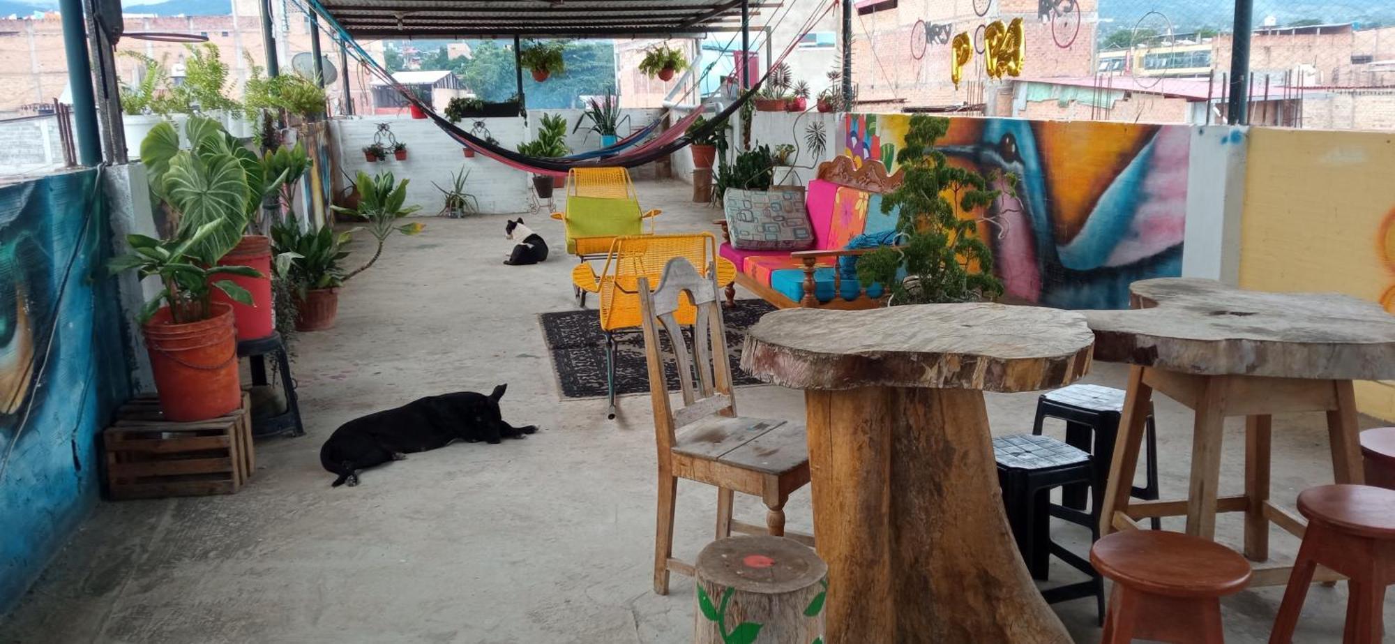 Shoffi'S House Backpackers Hotell Tarapoto Eksteriør bilde